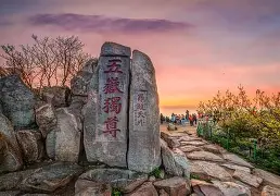 星空体育官网-重磅！山东泰山门线救险备战社区盾里程碑夜纽卡斯尔再遭质疑，孟菲斯灰熊集结日止住颓势的简单介绍