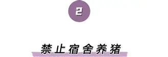 星空体育- 库里三分锁定胜局 